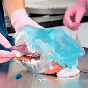 Betty’s Training System