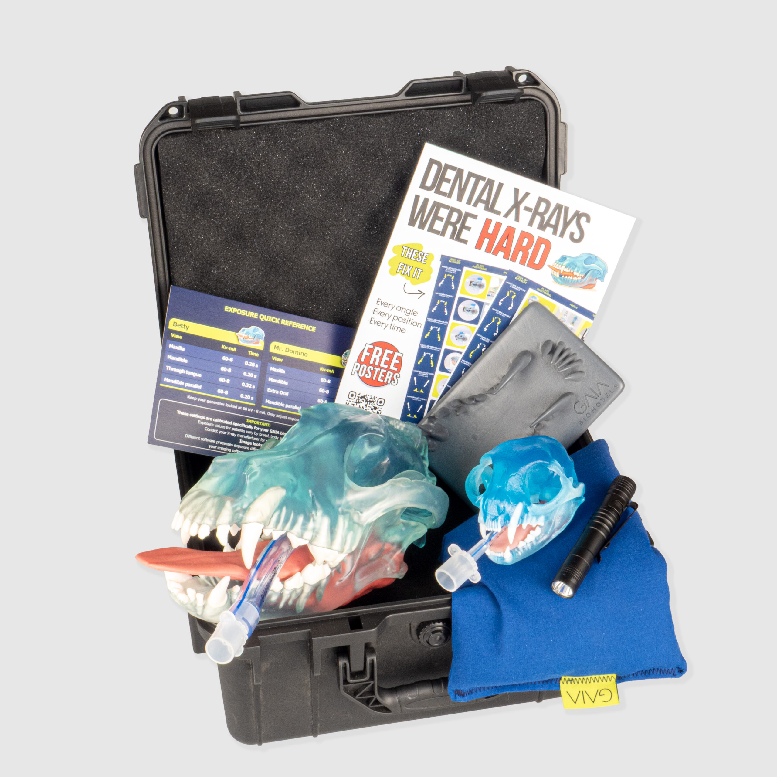 GAIA Simulation Kit case containing Betty canine and Mr. Domino feline dental models, Shadow Monster trainer and positioning posters