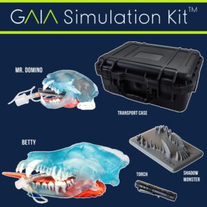 GAIA Simulation Kit™