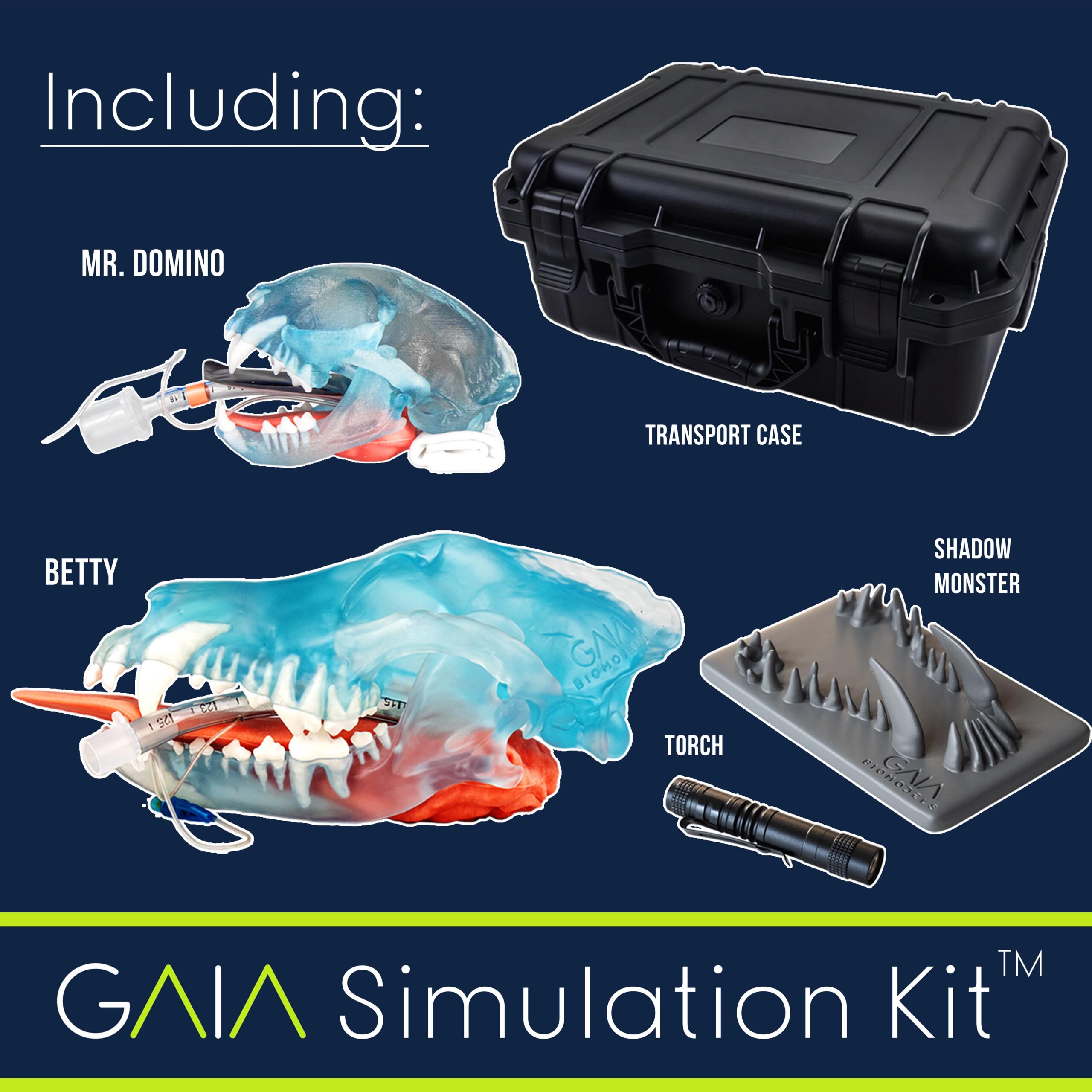 GAIA Simulation Kit™